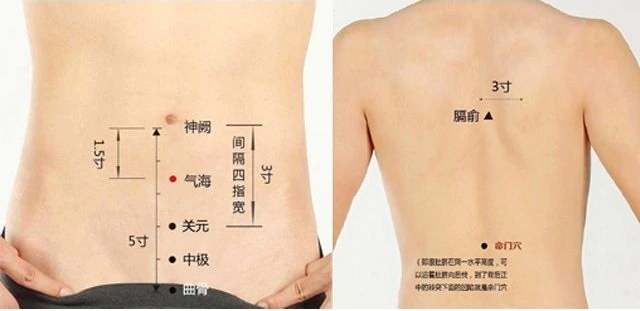 金日光教授:【漫谈《黄帝内经》•之七十】 要不要用当代科学注重解读中医大学科的原理?(图6) 19.png