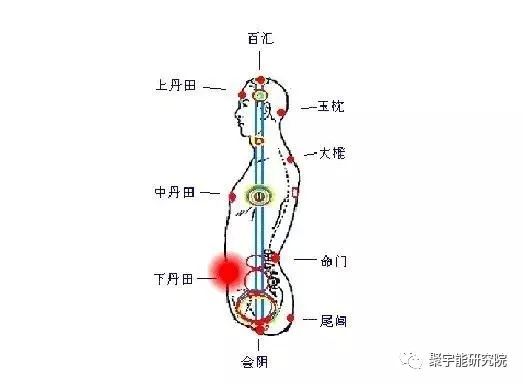 金日光教授:【漫谈《黄帝内经》•之七十】 要不要用当代科学注重解读中医大学科的原理?(图11) 24.jpg
