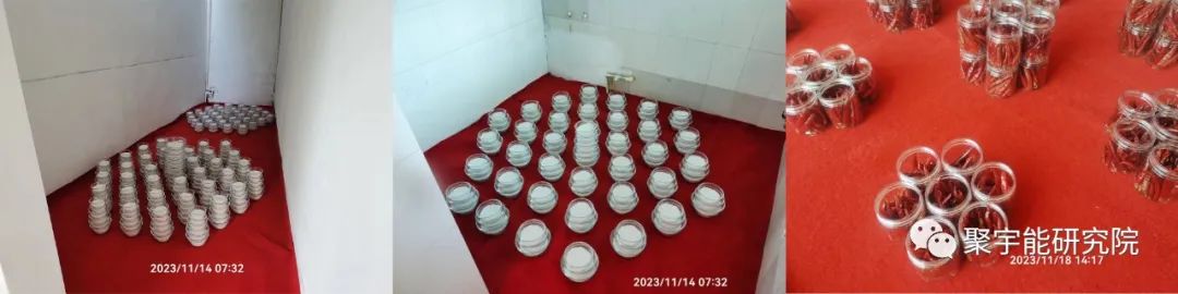 金日光教授:【漫谈《黄帝内经》•之七十一】 《黄帝内经》里“气”之第六层次的现实表象(图9) 10.jpg