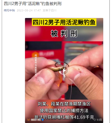 首例!用活泥鳅钓鱼被判刑!(图1) 39.png