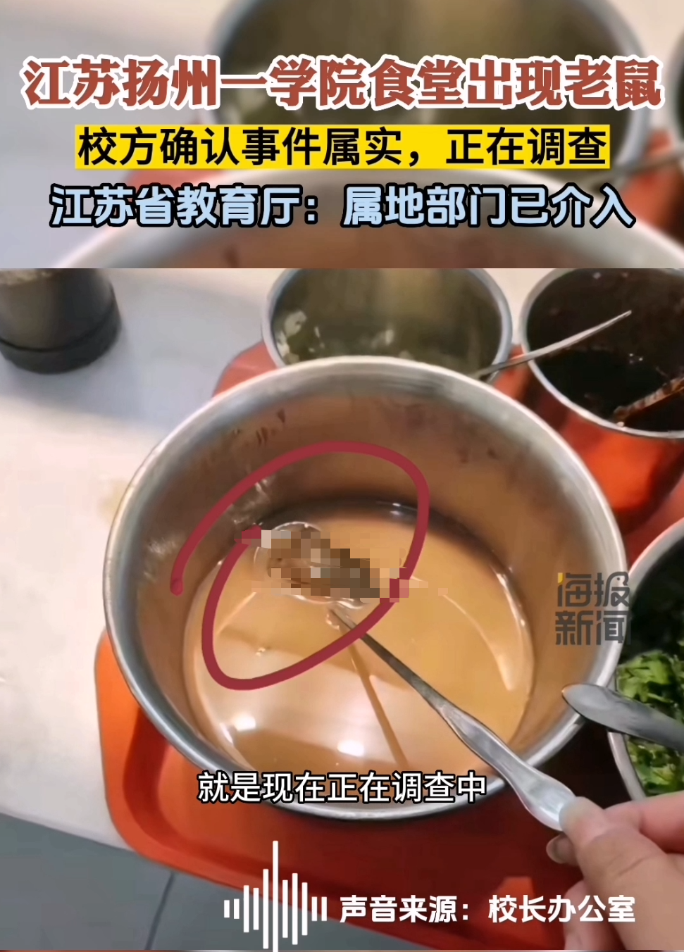 食堂麻酱中发现老鼠,高校刚刚通报!(图3) 23.png