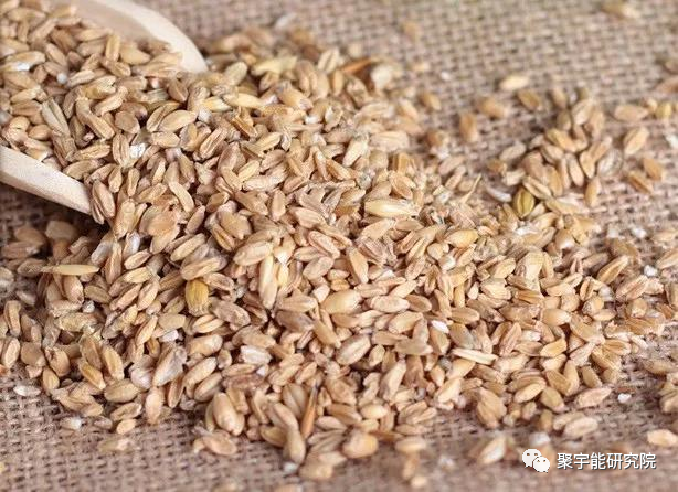 金日光教授:【《黄帝内经》漫谈•之七十五】怎么能说现在的科学解释不了中医?(图3) 30.png