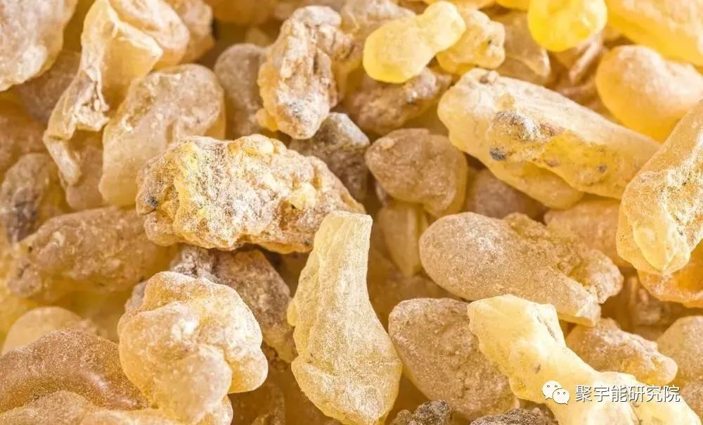 金日光教授:【《黄帝内经》漫谈•之七十七】天然和人造牛黄到底有什么差别?(图2) 16.jpg