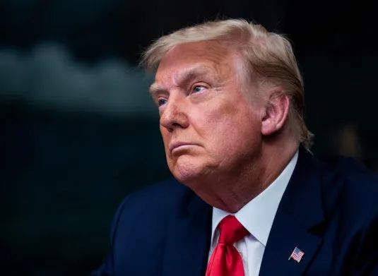 特朗普,“叛乱”?(图1) 5.jpg