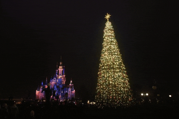 圣诞节的真正由来是什么?你可能不知道的圣诞节秘密揭晓!(图8) 8.gif