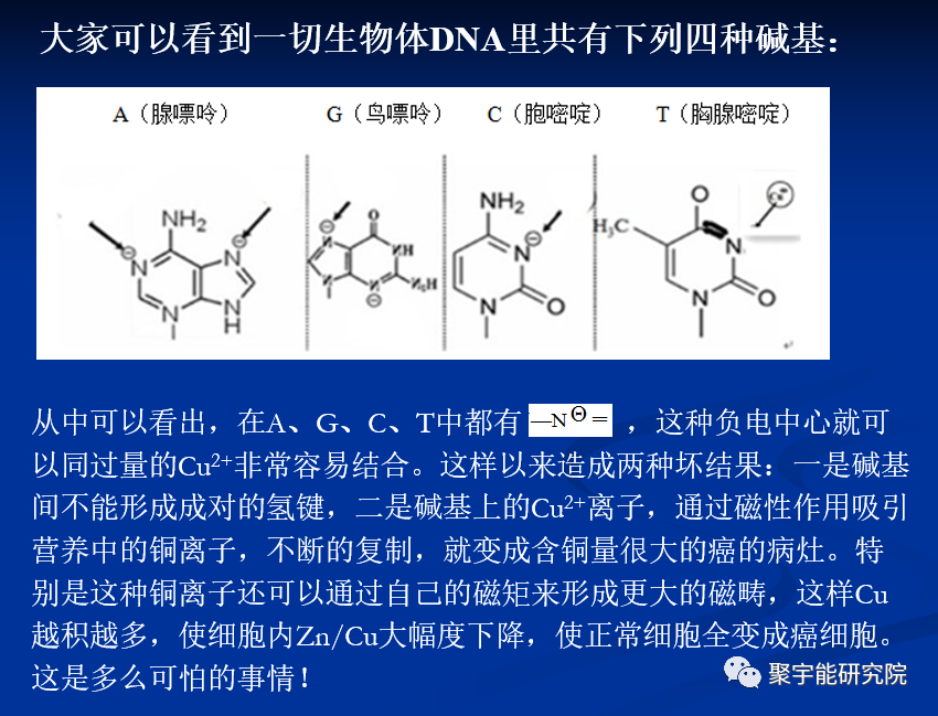 金日光教授:【《黄帝内经》所深藏的奥秘•之四】人体生命动力阴阳精的氧化电位和磁矩之间还有什么<天机>?是不是值得揭秘?(图5) 5.png