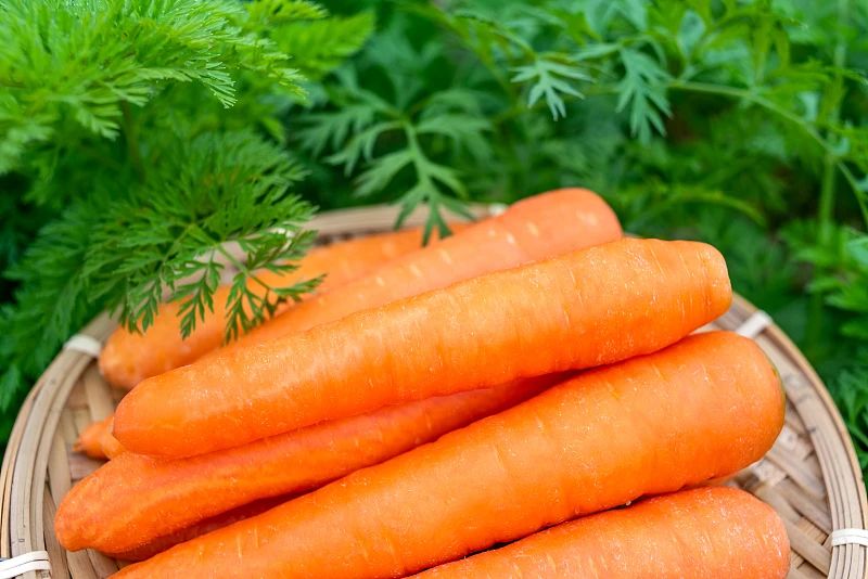 “冬吃萝卜赛人参”,但白萝卜这两种吃法,营养白白浪费了!(图5) 5.jpg