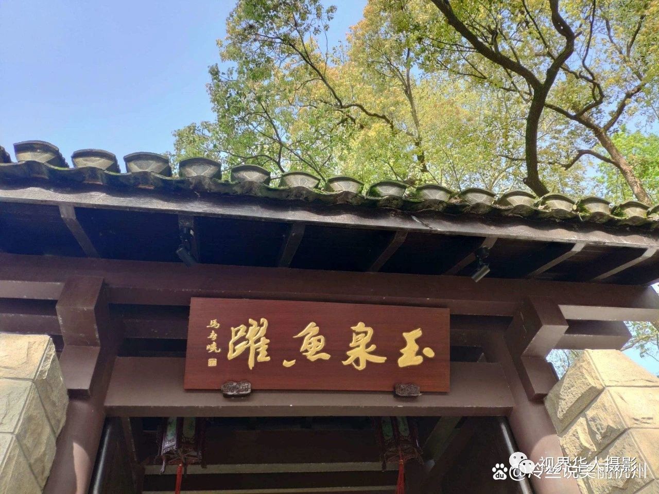 岑国荣|辞旧迎新的祝福:年年有鱼(图2) 2.jpg