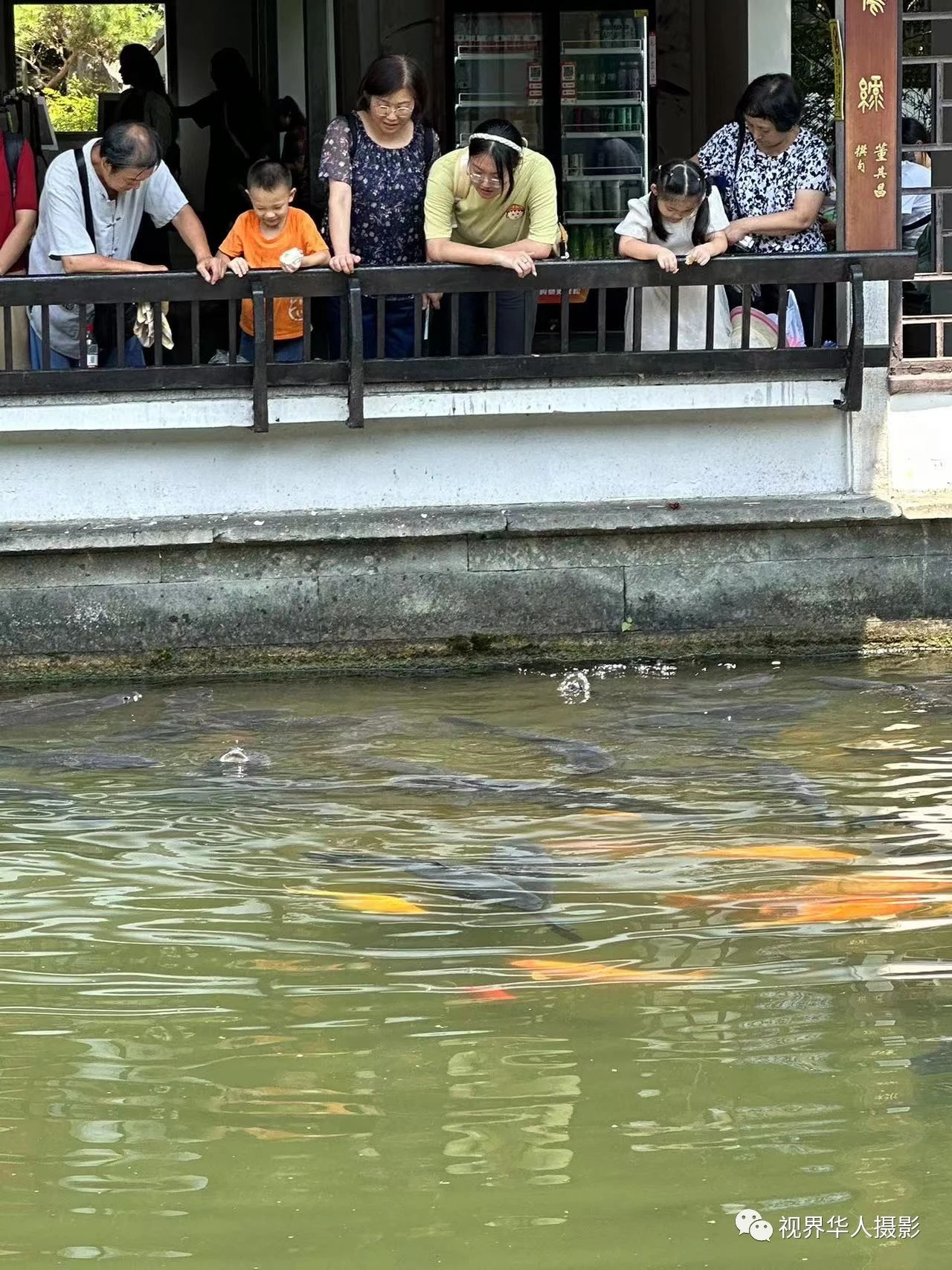 岑国荣|辞旧迎新的祝福:年年有鱼(图6) 6.jpg