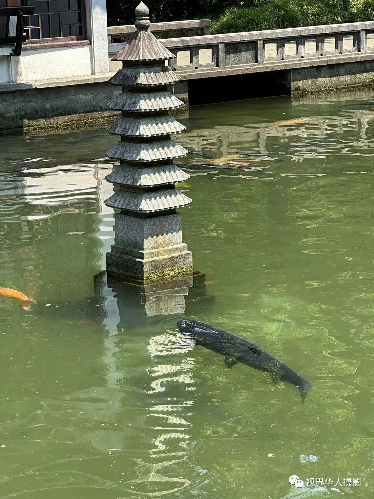 岑国荣|辞旧迎新的祝福:年年有鱼(图7) 7.jpg