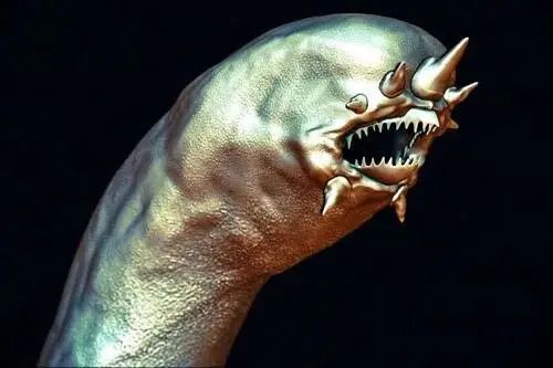 小小的微生物放大了竟然如此可怕——显微镜下的微型生物(图14) 16.jpg