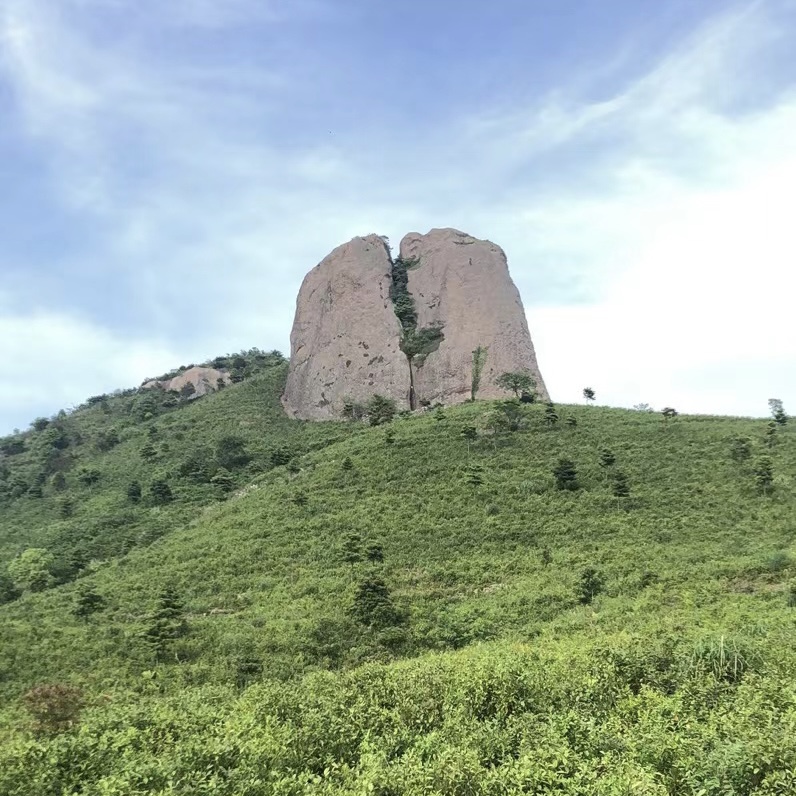 寻找隐在隐龙山中的美茶姑 (图5) 9.jpg