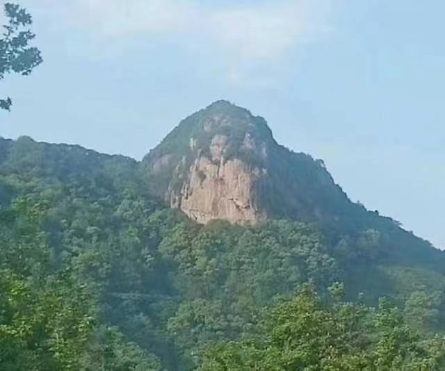 寻找隐在隐龙山中的美茶姑 (图4) 8.jpg