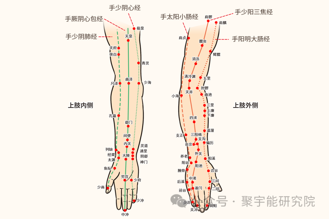 金日光教授:【《黄帝内经》所深藏的奥秘•之十五】有些群友又发问为什么几乎所有气功师都用手发功?(图3) 18.png