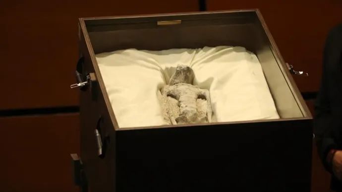 “外星人”遗体?秘鲁法医:人工合成(图4) 13.jpg