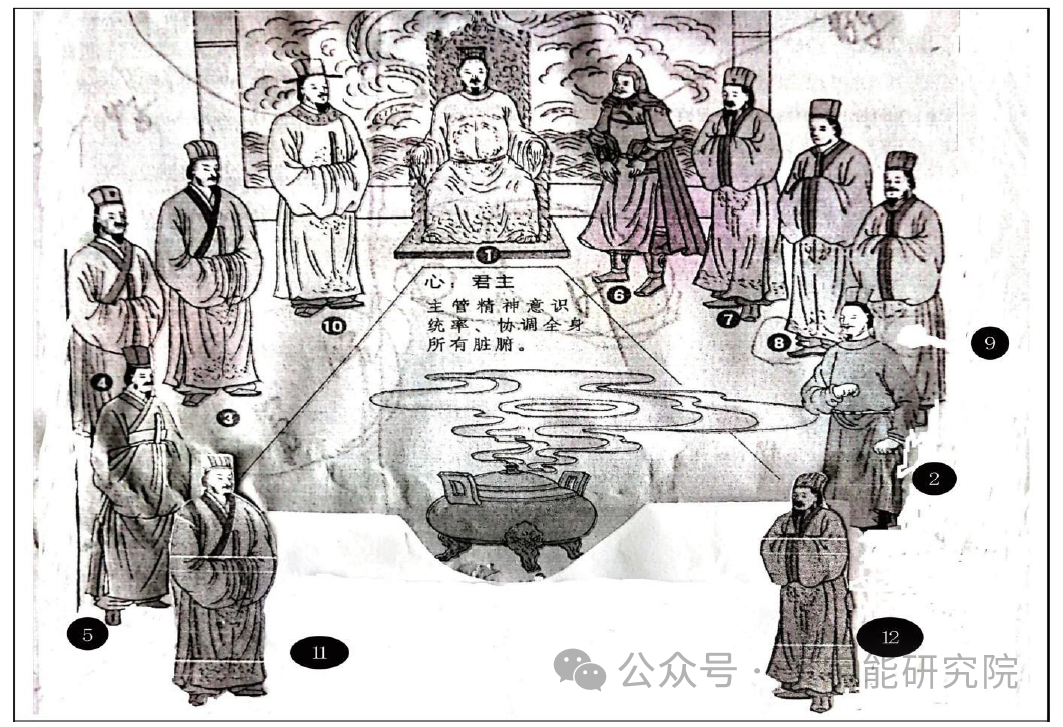 金日光教授:【《黄帝内经》所深藏的奥秘•之十七】问:三焦是相当于现在的<水利部部长>,脾是相当于<后勤部部长>,这有什么根据?(图1) 11.png