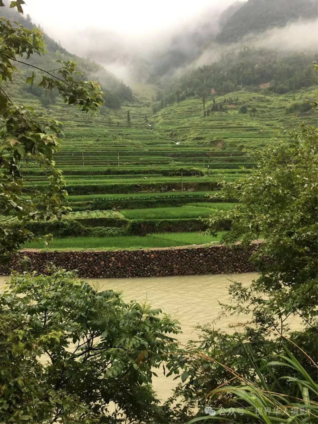 岑国荣|侨乡文成:绿水青山间的诗和远方(图11) 12.jpg