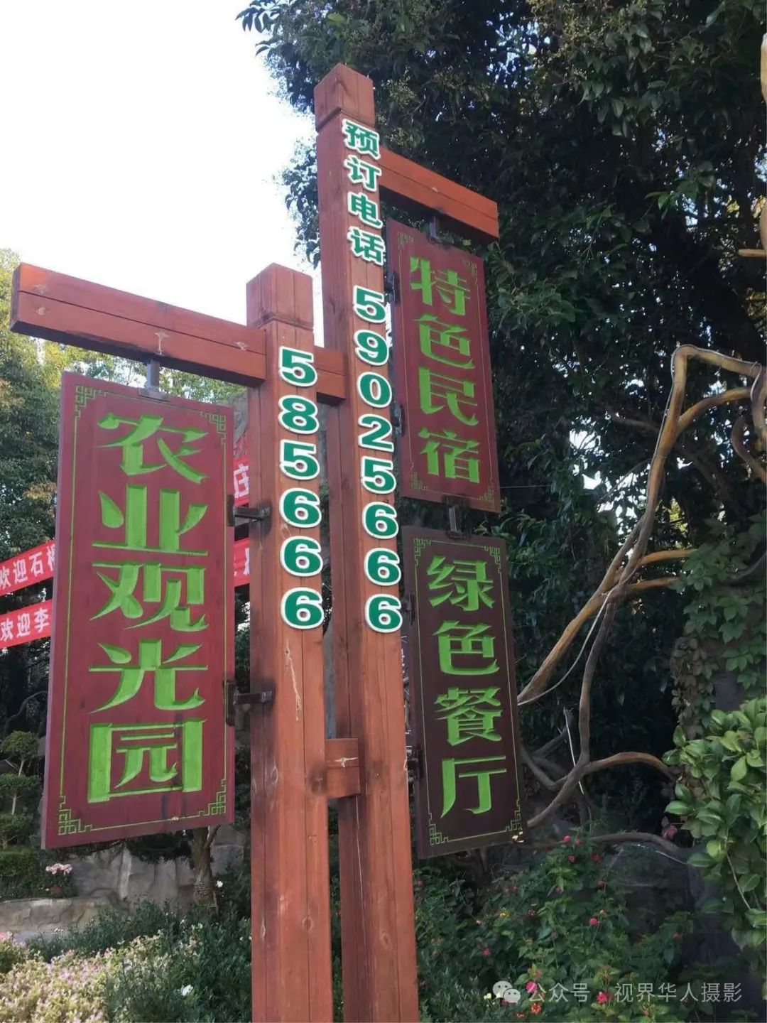 岑国荣|侨乡文成:绿水青山间的诗和远方(图18) 19.jpg