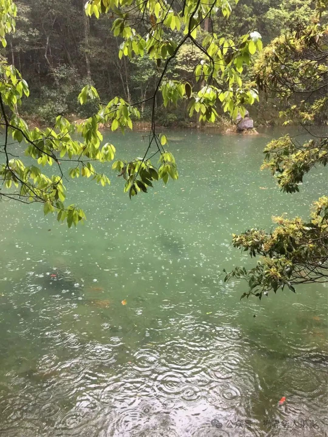 岑国荣|侨乡文成:绿水青山间的诗和远方(图42) 43.jpg