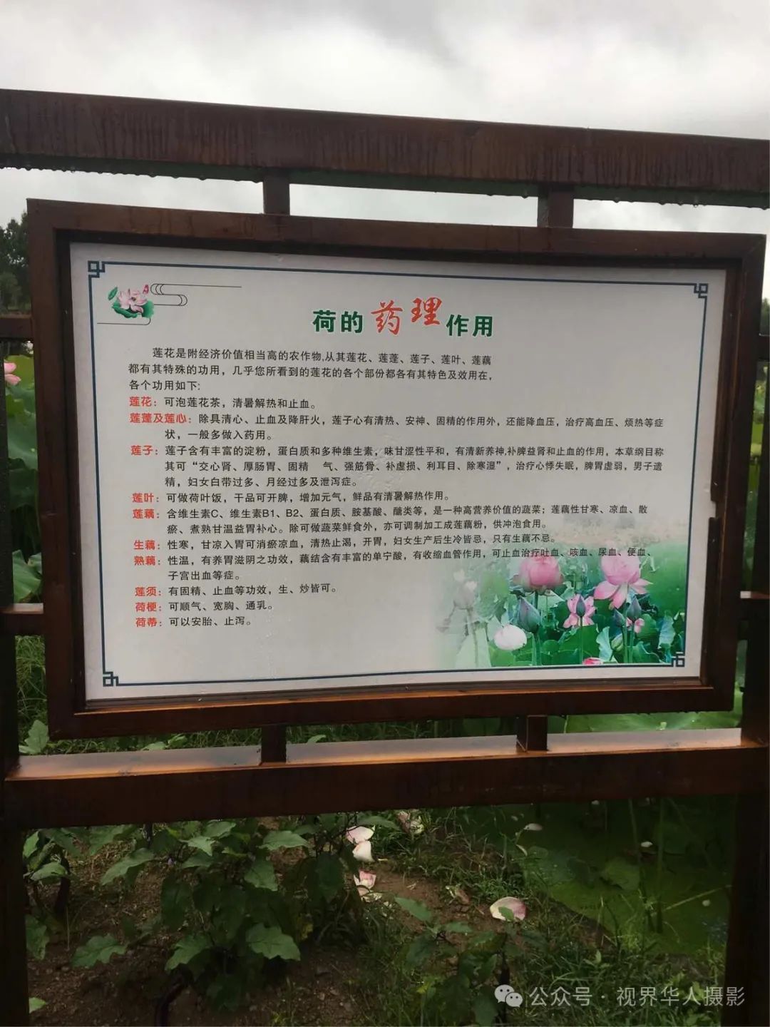 岑国荣|侨乡文成:绿水青山间的诗和远方(图28) 29.jpg