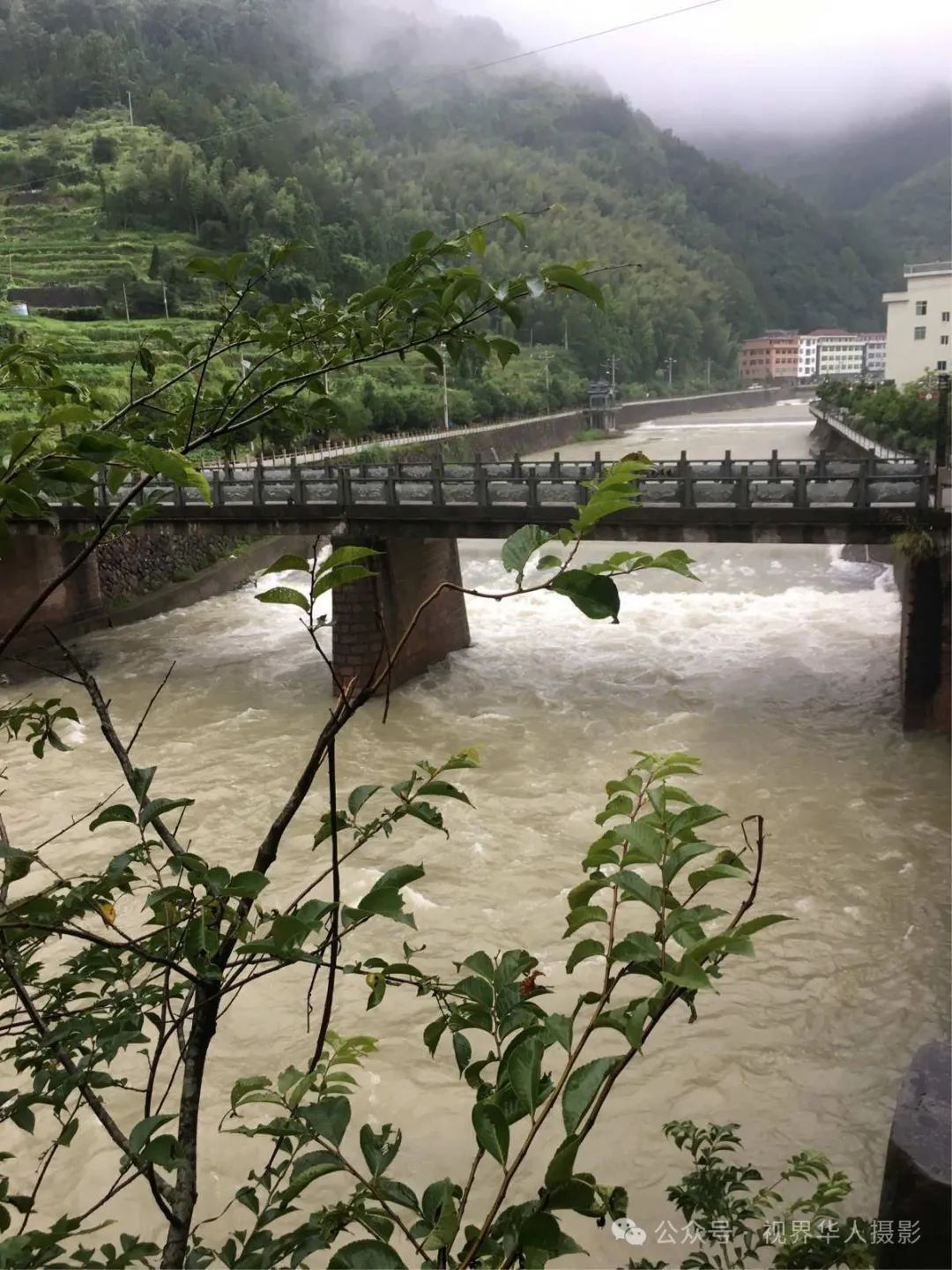 岑国荣|侨乡文成:绿水青山间的诗和远方(图48) 49.jpg
