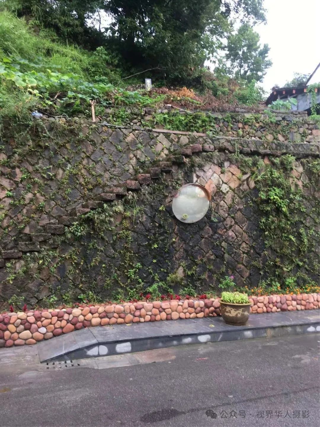 岑国荣|侨乡文成:绿水青山间的诗和远方(图60) 61.jpg