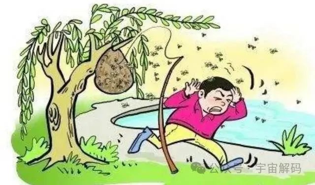 壁虎无毒却是“五毒”之一,马蜂凶猛且有毒,为何没有进入五毒?(图4) 4.jpg