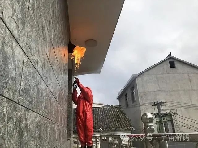 壁虎无毒却是“五毒”之一,马蜂凶猛且有毒,为何没有进入五毒?(图5) 5.jpg