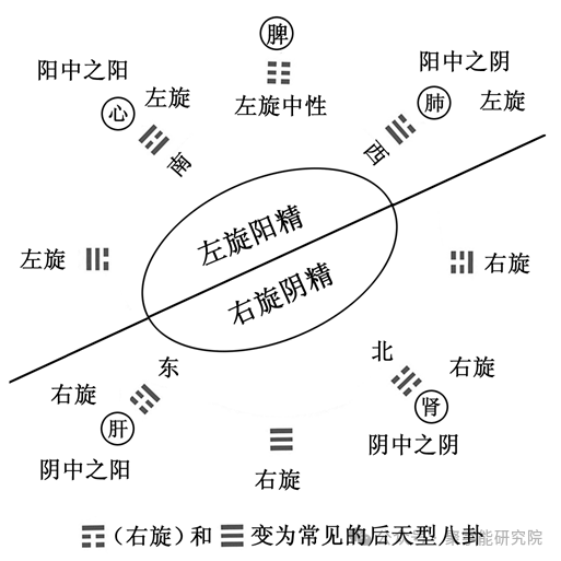 金日光教授:【《黄帝内经》所深藏的奥秘•之二十六】《内经》对<阳卦><阴卦>有何说法?(图11) 640.png