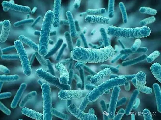 金日光教授:【《黄帝内经》所深藏的奥秘•之二十七】紧急对证支原体及肺炎流行问题(图2) 640.jpg