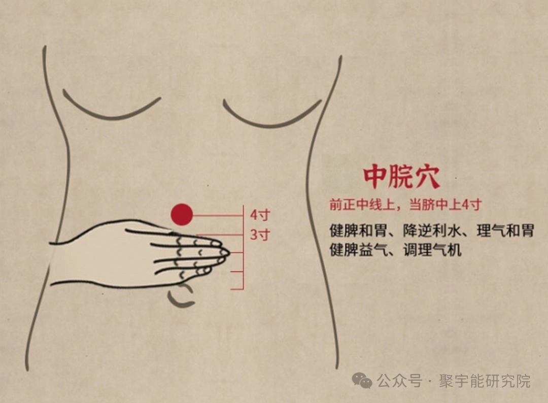 金日光教授:【《黄帝内经》所深藏的奥秘•之三十一】为什么有的经络线上<易堵>的穴位数目那么多,有的那么少?(图16) 640.png