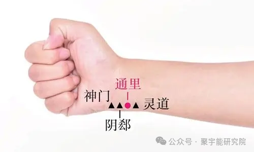 金日光教授:【《黄帝内经》所深藏的奥秘•之三十一】为什么有的经络线上<易堵>的穴位数目那么多,有的那么少?(图20) 640.png