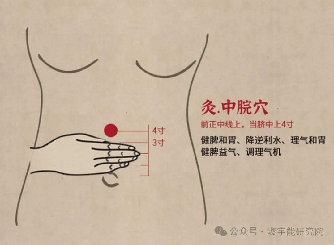 金日光教授:【《黄帝内经》所深藏的奥秘•之三十一】为什么有的经络线上<易堵>的穴位数目那么多,有的那么少?(图24) 640.jpg