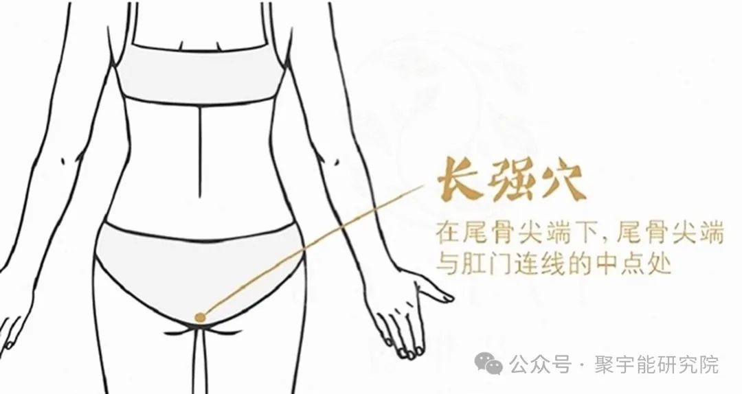 金日光教授:【《黄帝内经》所深藏的奥秘•之三十一】为什么有的经络线上<易堵>的穴位数目那么多,有的那么少?(图26) 640.jpg