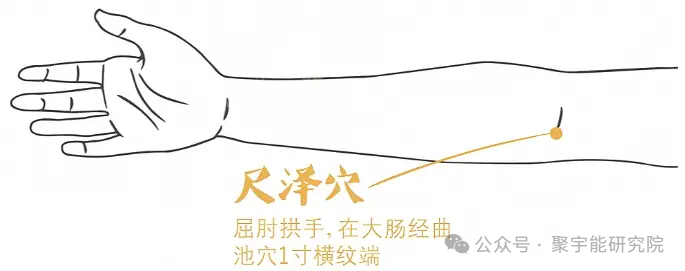 金日光教授:【《黄帝内经》所深藏的奥秘•之三十二】一位群友看了我写的文,发了下面的感想文:<针灸激活生命动力反向治疗常显神奇>(图4) 640.png