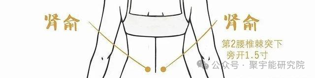 金日光教授:【《黄帝内经》所深藏的奥秘•之三十三】(图9) 640.png