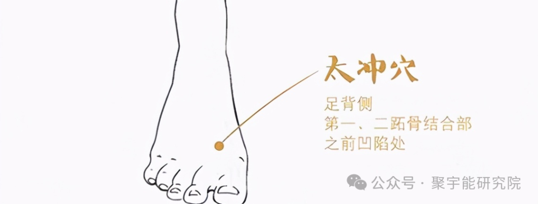 金日光教授:【《黄帝内经》所深藏的奥秘•之三十三】(图12) 640.png