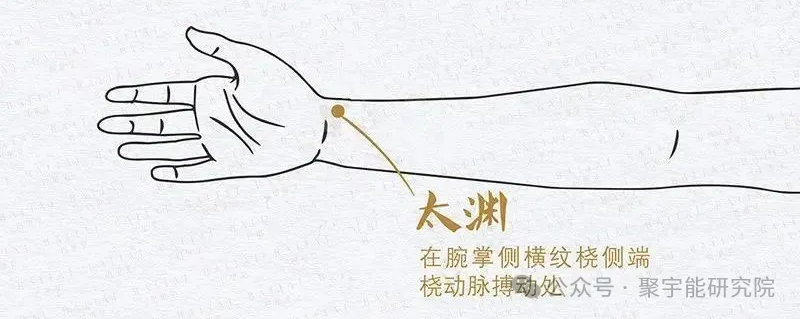 金日光教授:【《黄帝内经》所深藏的奥秘•之三十三】(图17) 640.png