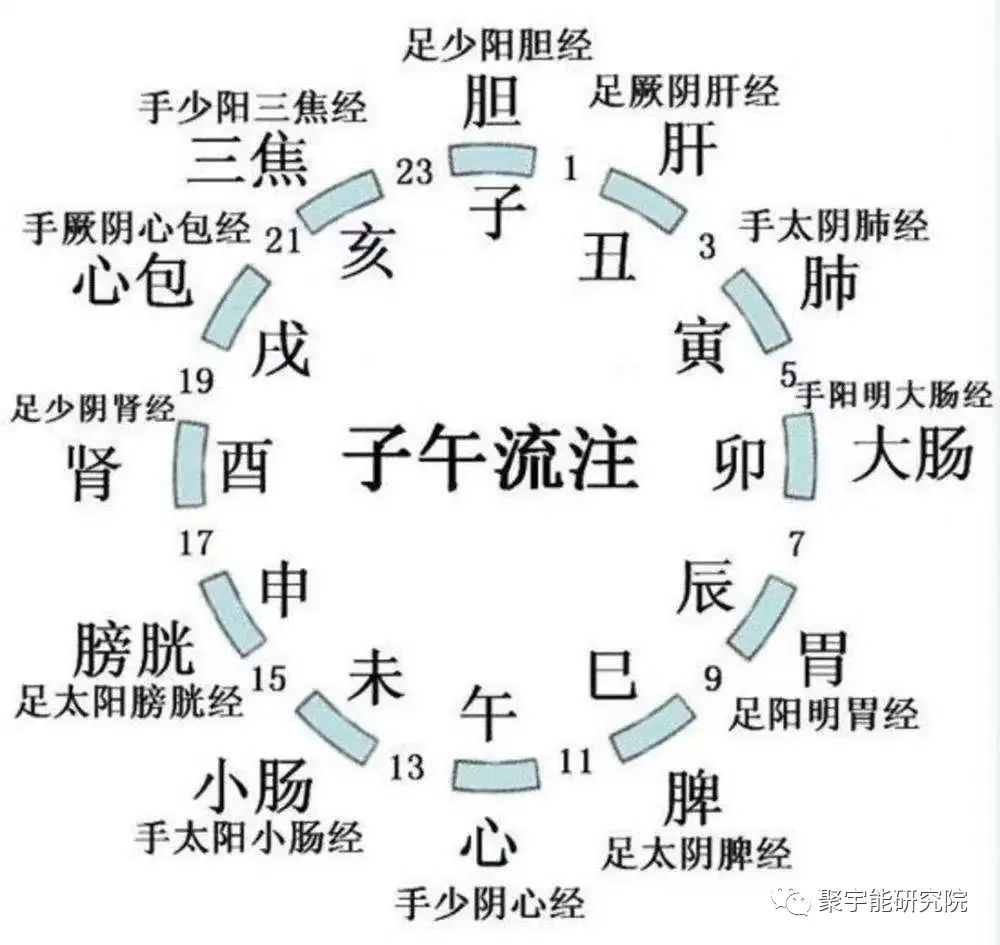 金日光教授:【《黄帝内经》所深藏的奥秘•之三十四】中医和针灸界比较公认的重要穴位有哪些及根据什么选择最佳针灸时间?(图7) 640.jpg