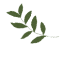 金日光教授:【《黄帝内经》所深藏的奥秘•之三十四】中医和针灸界比较公认的重要穴位有哪些及根据什么选择最佳针灸时间?(图6) 图片