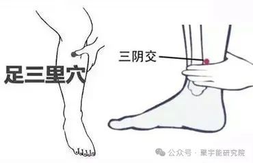 金日光教授:【《黄帝内经》所深藏的奥秘•之三十七】为何脾胃两经里都看重三阴交穴和足三里穴位?(图10) 640.jpg