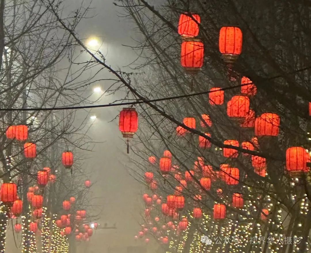 岑国荣丨台州市府大道除夕夜的繁华盛景(图4) 640.jpg