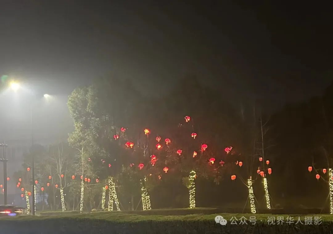 岑国荣丨台州市府大道除夕夜的繁华盛景(图14) 640.jpg