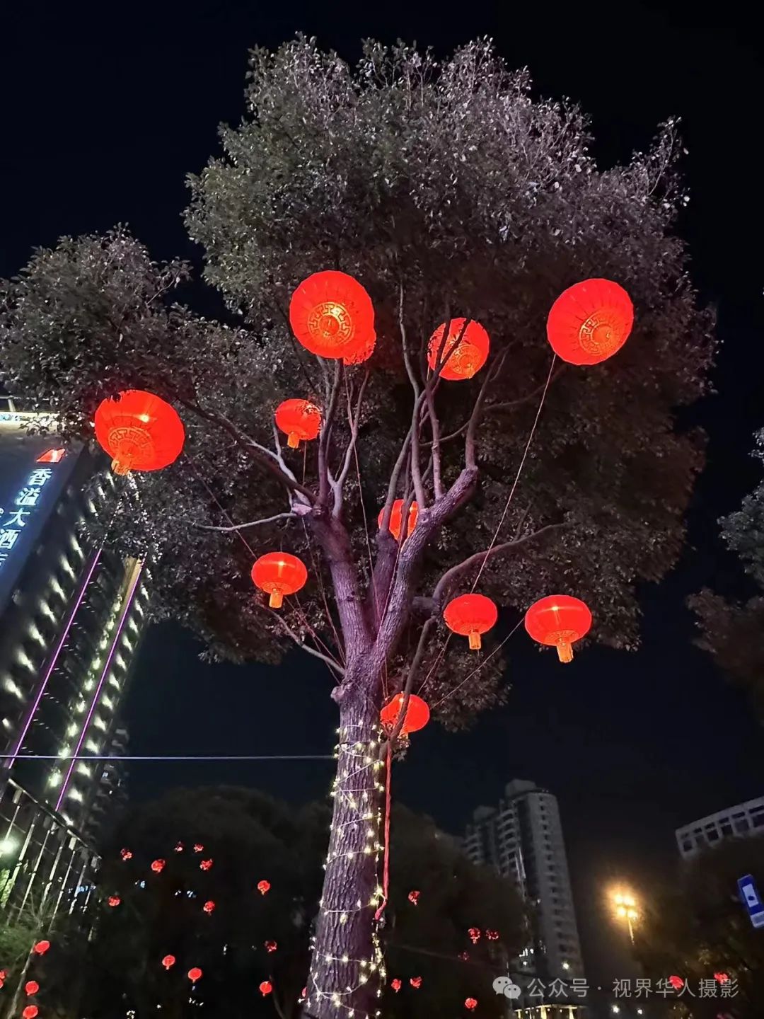 岑国荣丨台州市府大道除夕夜的繁华盛景(图32) 640.jpg