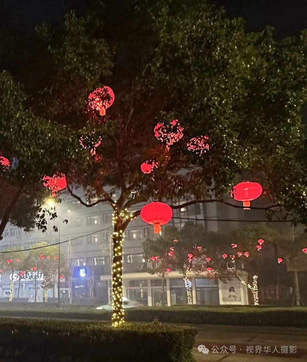 岑国荣丨台州市府大道除夕夜的繁华盛景(图34) 640.jpg