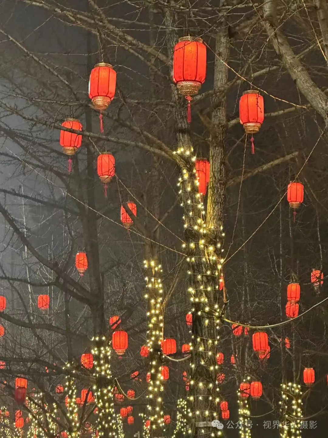 岑国荣丨台州市府大道除夕夜的繁华盛景(图40) 640.jpg