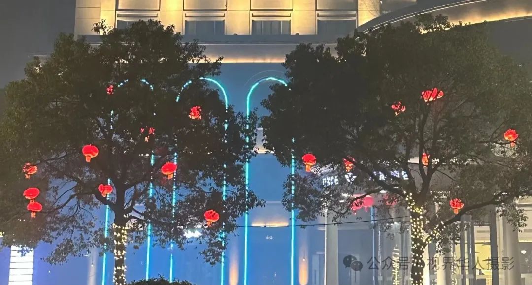 岑国荣丨台州市府大道除夕夜的繁华盛景(图49) 640.jpg