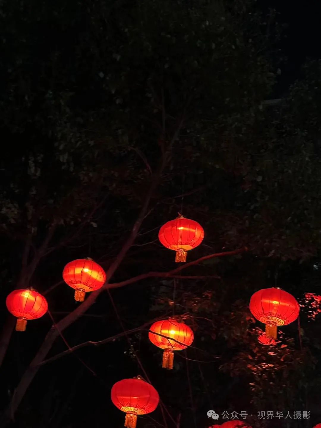 岑国荣丨台州市府大道除夕夜的繁华盛景(图55) 640.jpg