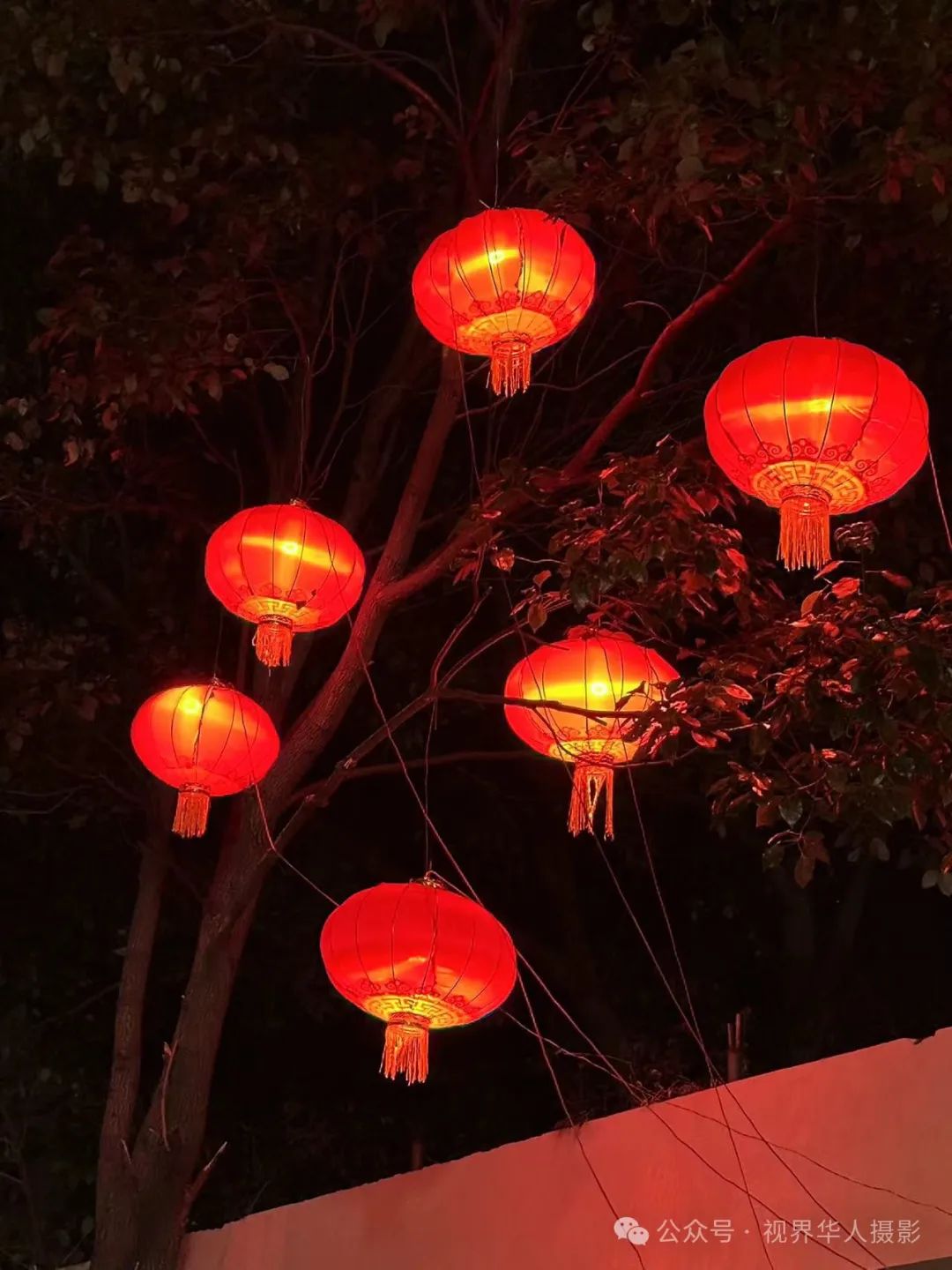 岑国荣丨台州市府大道除夕夜的繁华盛景(图56) 640.jpg