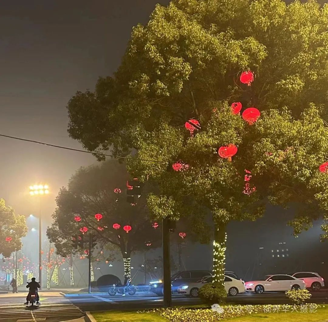 岑国荣丨台州市府大道除夕夜的繁华盛景(图62) 640.jpg